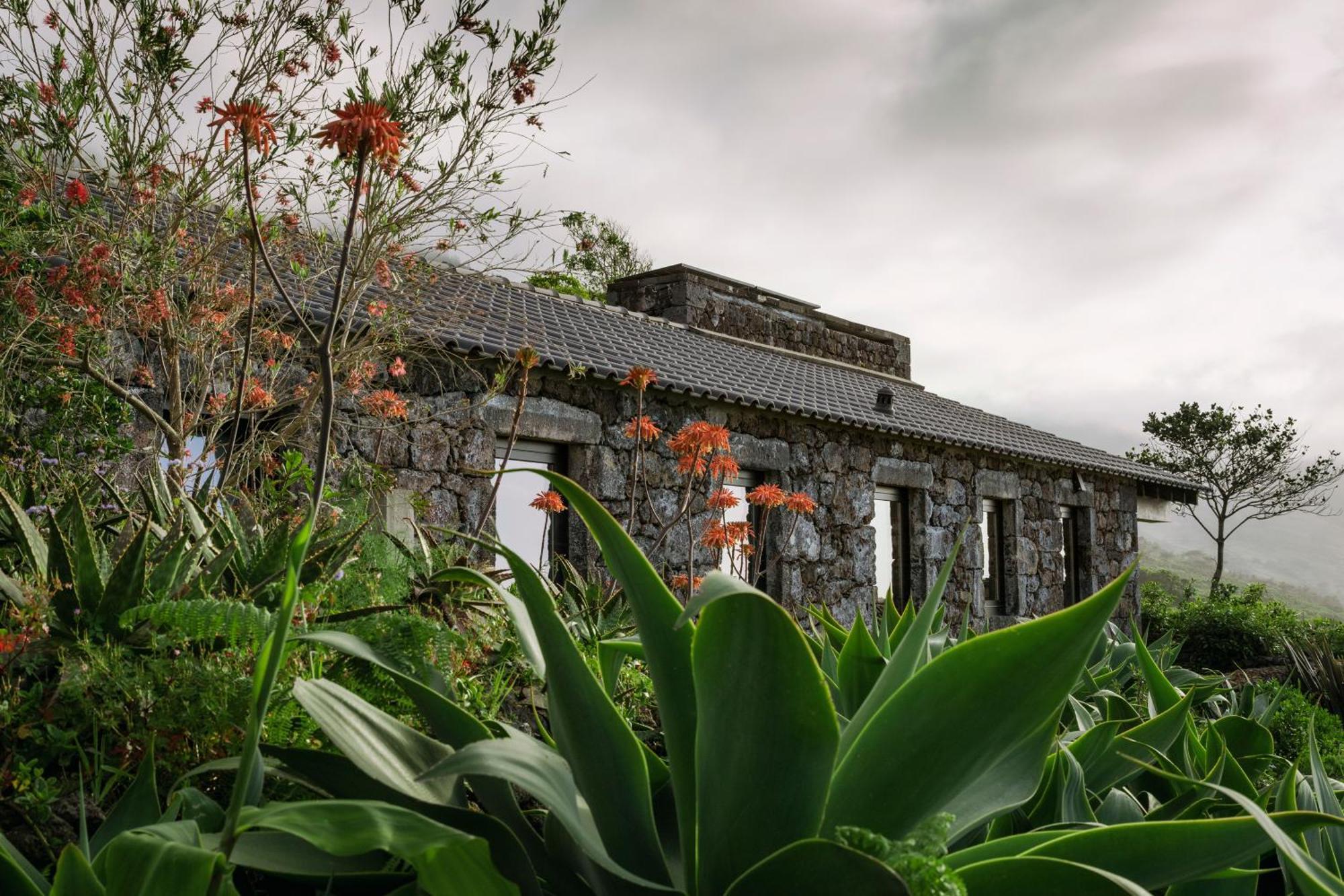 Lava Homes Santo Amaro  外观 照片